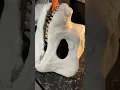 make a dino dog with me