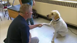 Inmates and officers work together in Puppies Behind Bars program