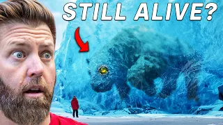 5 Animals That Survived The Ice Age