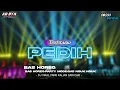 Download Lagu DJ PEDIH X MELODY SAD TERBARU BAS HOREG NGUK NGUK