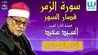 الشيخ السيد سعيد    سورة الزمر و قصار السور                                      دندنها