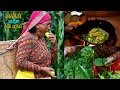 Download Lagu हेरौं आज कान्छीको बारीमा के–के फलेको छ || Cooking Organic Village Style curry || Kanchhikitchen