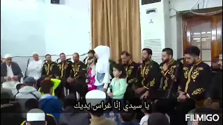 يا سيدي إنا غراس يديك بصوت المنشدة شام برتاوي الأميرة 