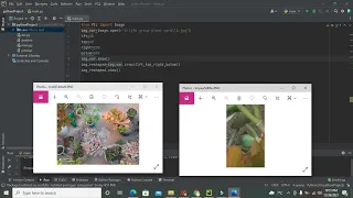 how to crop an image in python how to crop an image in pycharm