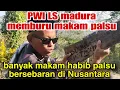 Download Lagu PWI LS MADURA HUNT FOR FAKE GRAVES‼️ MANY FAKE HABIB GRAVES ARE SCATTERED IN NUSANTARA