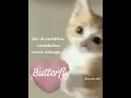 Download Lagu butterfly- Melly Goeslaw_cover #music #musicindonesia #berandayoutube