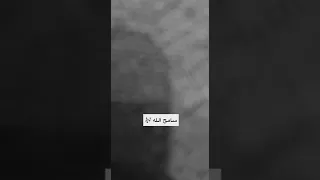 زياد   سامح الله  بيانو  دندنها