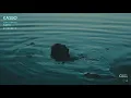 Kasbo - Cry / Dance Radio (Episode 3)