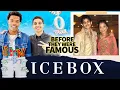 Icebox Before They Were Famous Who Is The Real Owner
