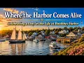 Where The Harbor Comes Alive Celebrating Life In a Day at Boothbay Harbor Maine