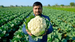 Matka Cauliflower Curry Recipe X Nikunj Vasoya