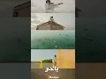 اهل العماره... عصام ساتي _وعلي نصر الدين_
