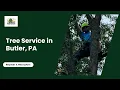Tree Service in Butler PA Solid Oak Tree Service