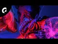 Download Lagu Giants' Nest - Looking Out Now (Royalty Free Music)