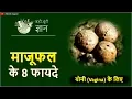 Download Lagu माजूफल के फायदे | Oak Gall Benefits in Hindi | For Skincare And Women Helath