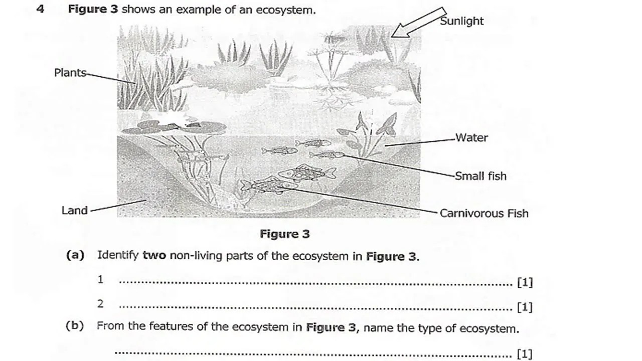 2023 Biology Paper 2 Internal Full Paper Revision | Ace Your Exams