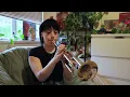 Time After Time Chet Baker Trumpet solo