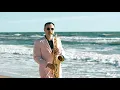 Download Lagu Richard Clayderman - Ballade Pour Adeline (Saxophone Cover)