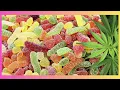 Is Blue Vibe CBD Gummies Truly Work Reviews Ingredients Price Side EffectsScam or Legit Buy