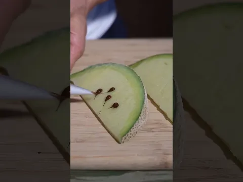 El melón MÁS Caro del Mundo 💸