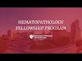 Hematopathology Fellowship Program at the University of Nebraska Medical Center