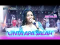 Download Lagu CINTA APA SALAH - NESA NATA JAYA || \