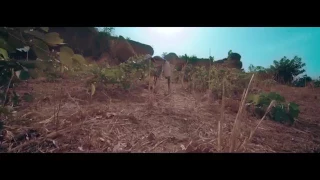 mayorkun sade official video