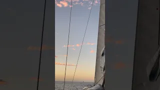 Whale breaching at sunrise off of Pt. Arguello