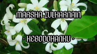 Download MARSHA ZULKARNAIN - KEBODOHANKU MP3