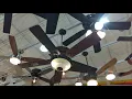 Brief tour of the Ceiling Fans At Menard s