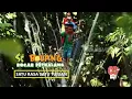 Download Lagu [FULL] Satu Rasa Satu Tujuan | SI BOLANG (20/08/25)