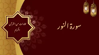  سورة النور   الشيخ عبد العزيز الراجحي  دندنها