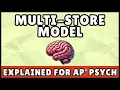 Multi-Store Model AP Psychology