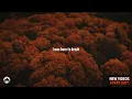 Bebe Rexha - I'm The Drama | Lyrics