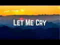 Download Lagu Laura Marano - Let Me Cry (Lyrics)