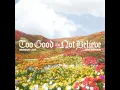 Too Good To Not Believe (Radio Version) - Brandon Lake, Jenn Johnson