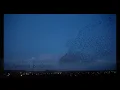 Anouar Brahem - Asfour stah (BOF Halfaouine)