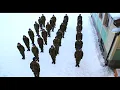Harlem Shake (Original Army Edition)