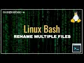 How to Change File Extension to Multiple Files at Once in Bash