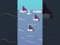 Murdery Facts About Killer Whales