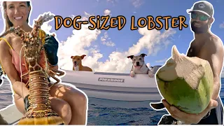 Freediving for Dog-Sized Lobsters in The Bahamas!
