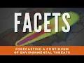 FACETs