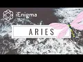 ARIES YOU BELONG TO ME THEY RE LOVE SICK CRAZY FOR YOU THEIR SOFT SPOT AUG-SEPT