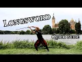 Learn the Art of Combat Longsword Guards - Beginners Guide