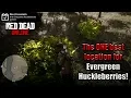 Evergreen Huckleberries Daily Challenge Red Dead Online