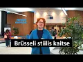 Lagu „Brüsseli päevik Jana Toomiga”: Brüsseli stiilis kaitse
