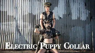 Can a Human Wear a Dog Training Collar