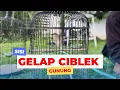 Lagu Tonton video ini sebelum pelihara ciblek