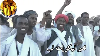 Tigre Music Ibrahim Nory ابراهيم نوراي اغنية قدير ابيكو 