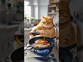 Download Lagu a fat orange cat cooks fish #cat #funny #cooking #ai #aiart